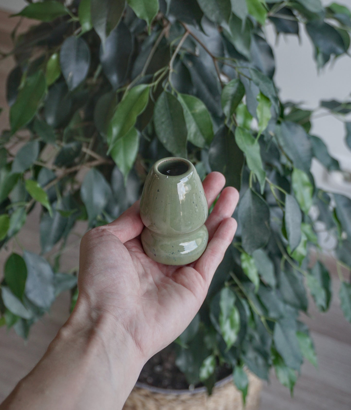 MATCHA GREEN šluotelės laikiklis