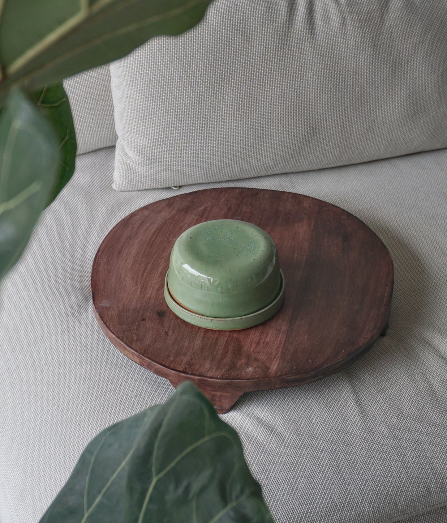 MATCHA GREEN maža sviestinė